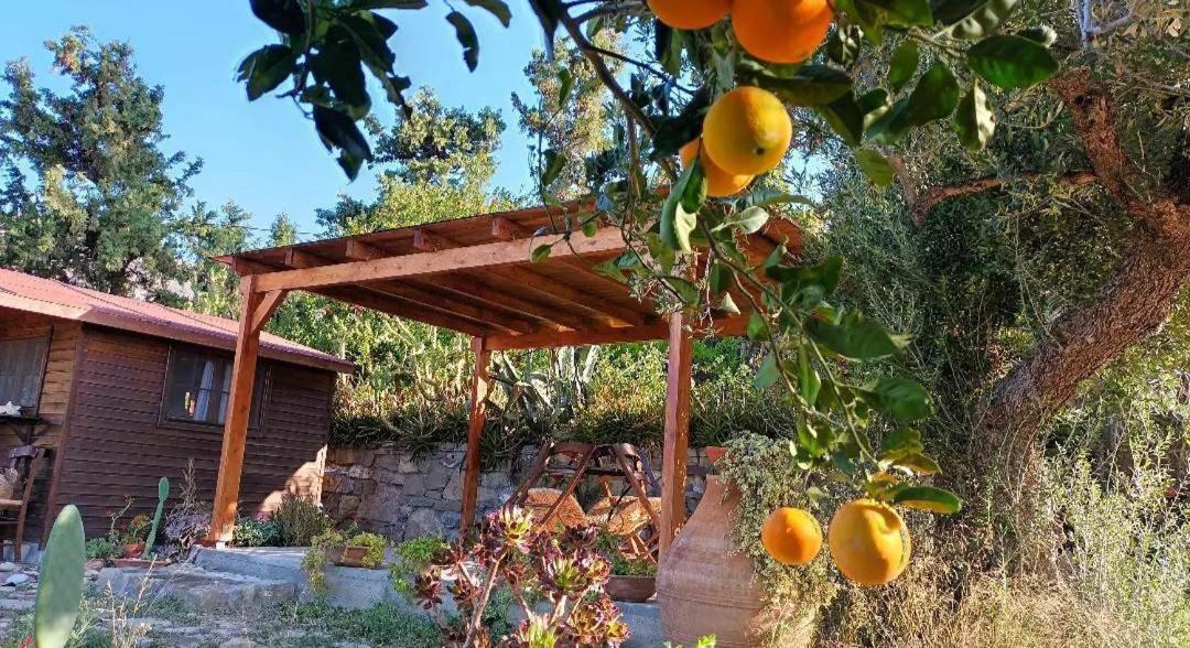 Levantes Garden House - Keratókambos Buitenkant foto